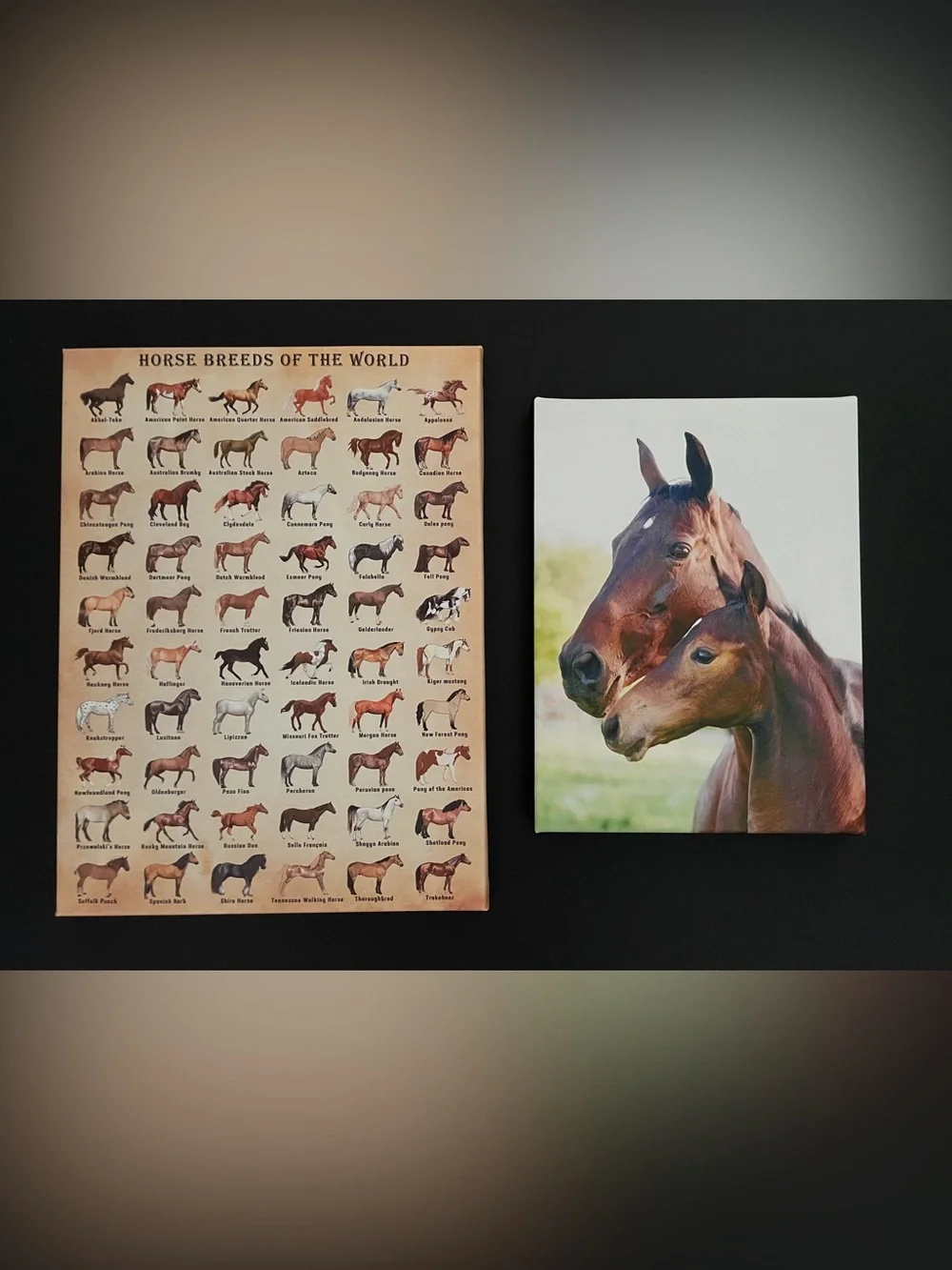 Horse Breed Chart & Horse Canvas Wall Art - Brown & Cream